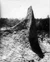 1898 Pinnacles.jpg (32194 bytes)